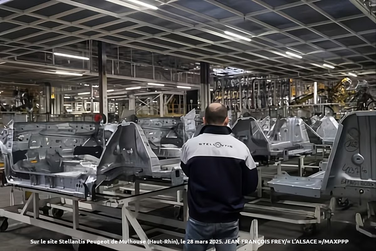 Stellantis Mulhouse : un milliard d'euros pour relancer l'usine alsacienne dans l'ère électrique